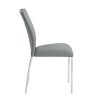 ACME Pagan Side Chair (Set-2) in Gray PU & Chrome Finish DN00741