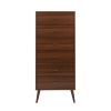 Traditional 6-Drawer Tall Dresser for Bedroom, Functional Bedroom Dresser Chest of Drawers 16" x 25" x 56.25", Cherry