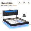 DICTAC Queen Floating Bed Frame with Storage Headboard and LED lights Queen Size Visual Floating LED Bed Frame with Type-C & USB