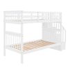 Stairway Twin-Over-Twin Bunk Bed with Storage and Guard Rail for Bedroom, Dorm